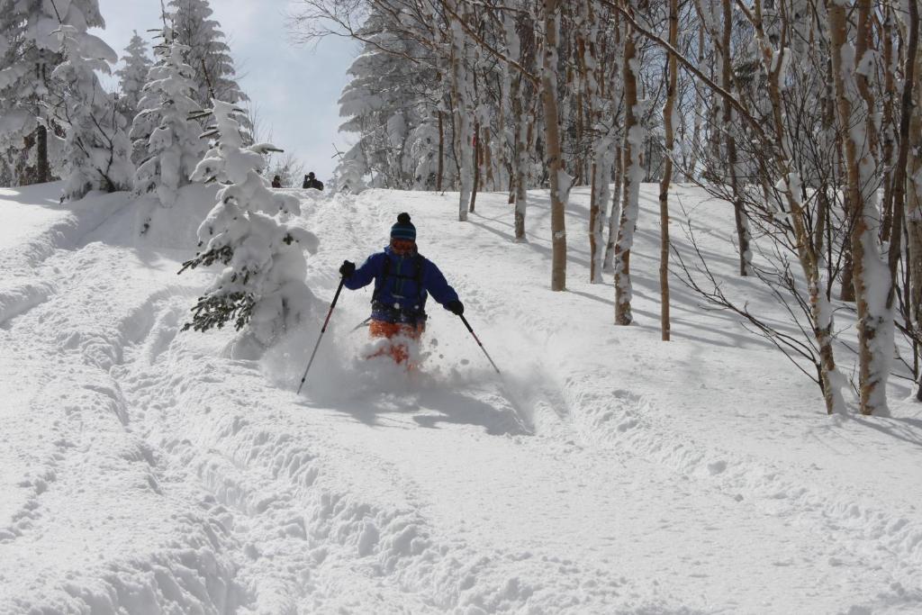 Aspen Shiga Hotell Yamanouchi  Exteriör bild