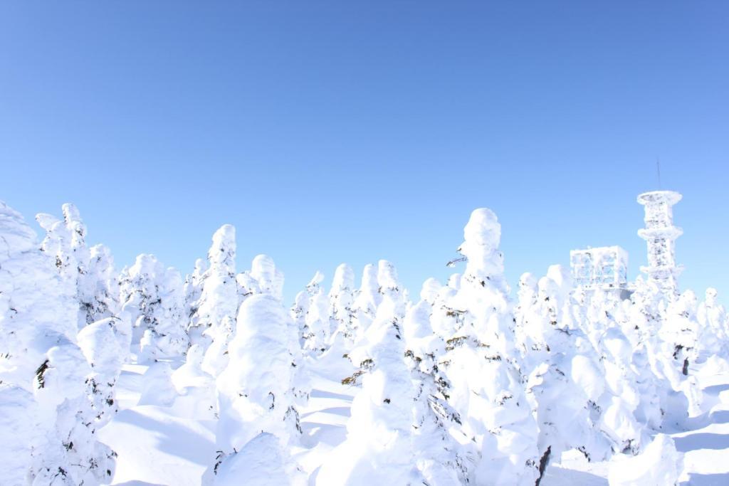 Aspen Shiga Hotell Yamanouchi  Exteriör bild